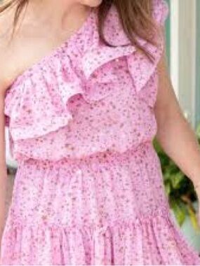 Buddy Love One-Shoulder Pink Floral Ruffle Dress